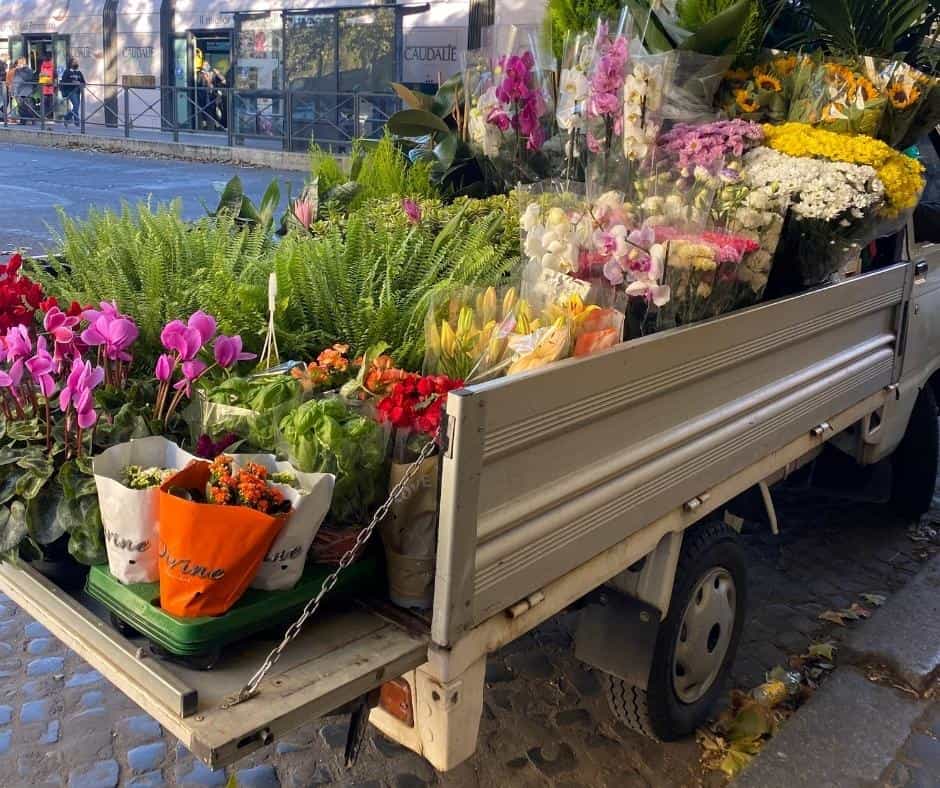 flower-cart-flowers-for-lonely-caregiver