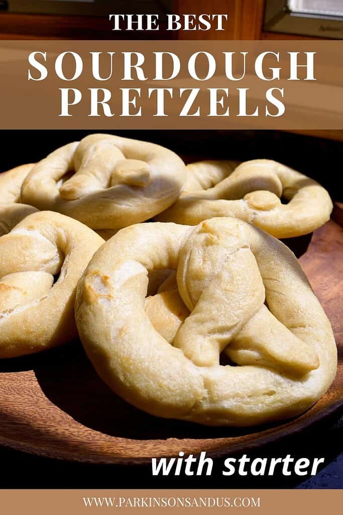 best-sourdough-pretzels-with-starter-on-plate