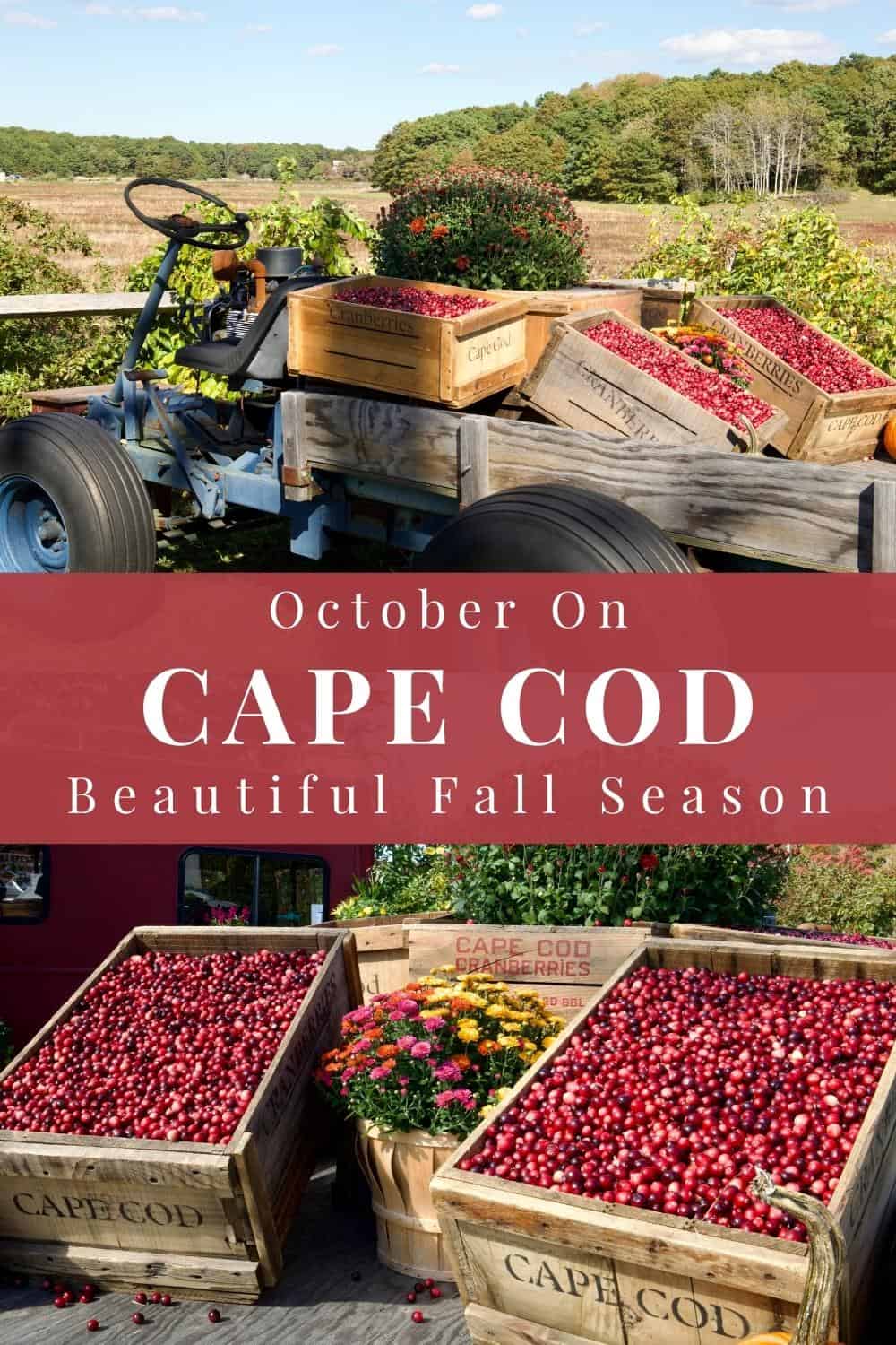 October On Cape Cod - A New England Fall - Upside Lane