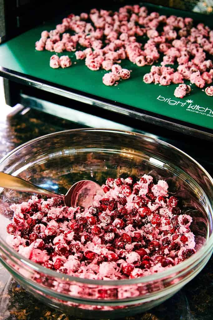 glass bowl of dried cranberries with a dehydrator in the background