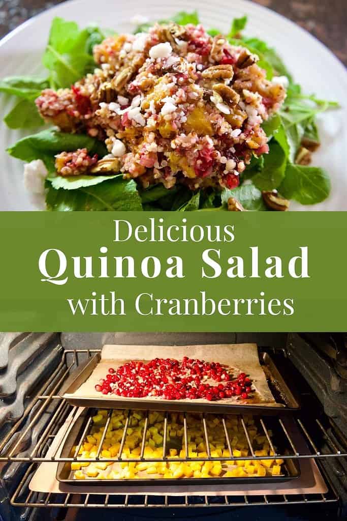 quinoa-salad-cranberries
