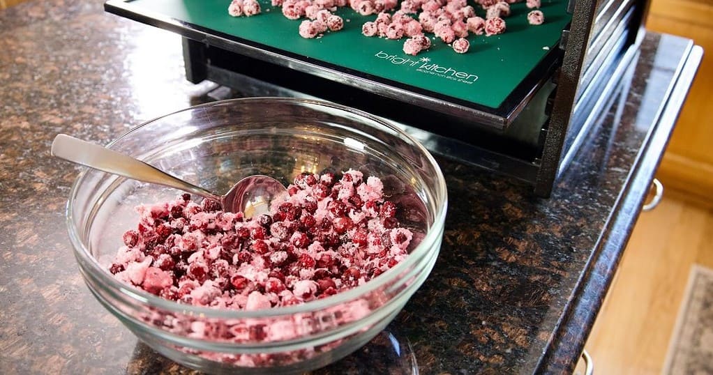 dehydrated cranberries dehydrator