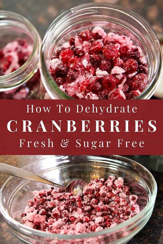 how to dehydrate sugar free cranberries dried