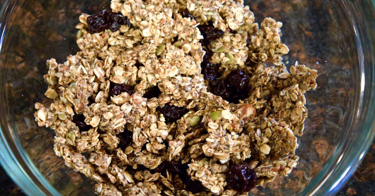 Raw Dehydrator Granola Recipe Vegan and Gluten Free