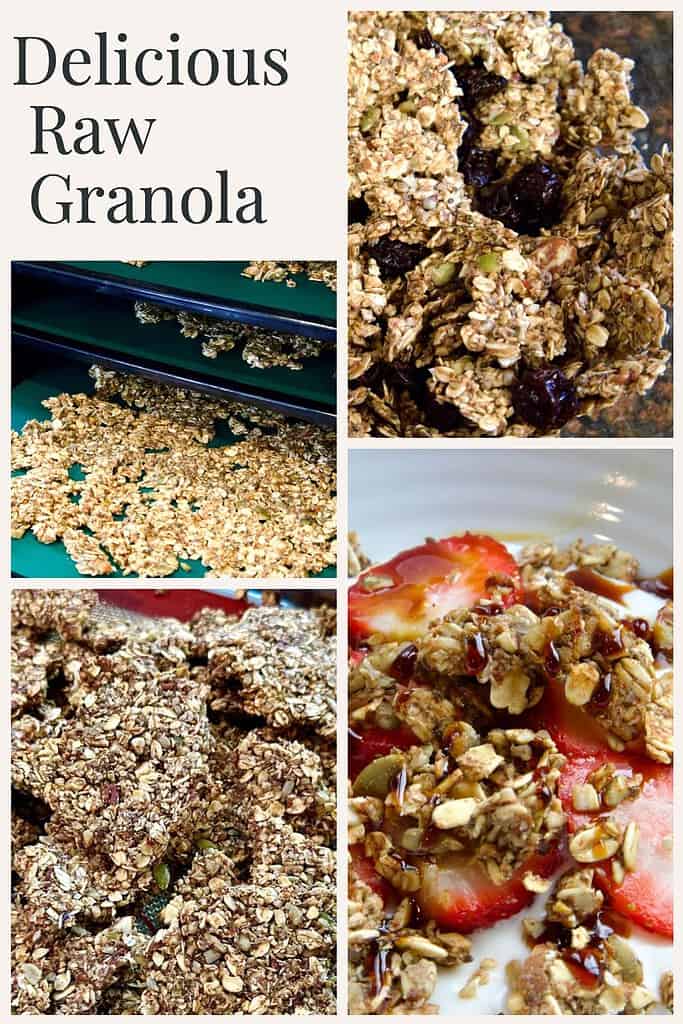 granola-strawberries-dried-fruit-dehydrator-trays