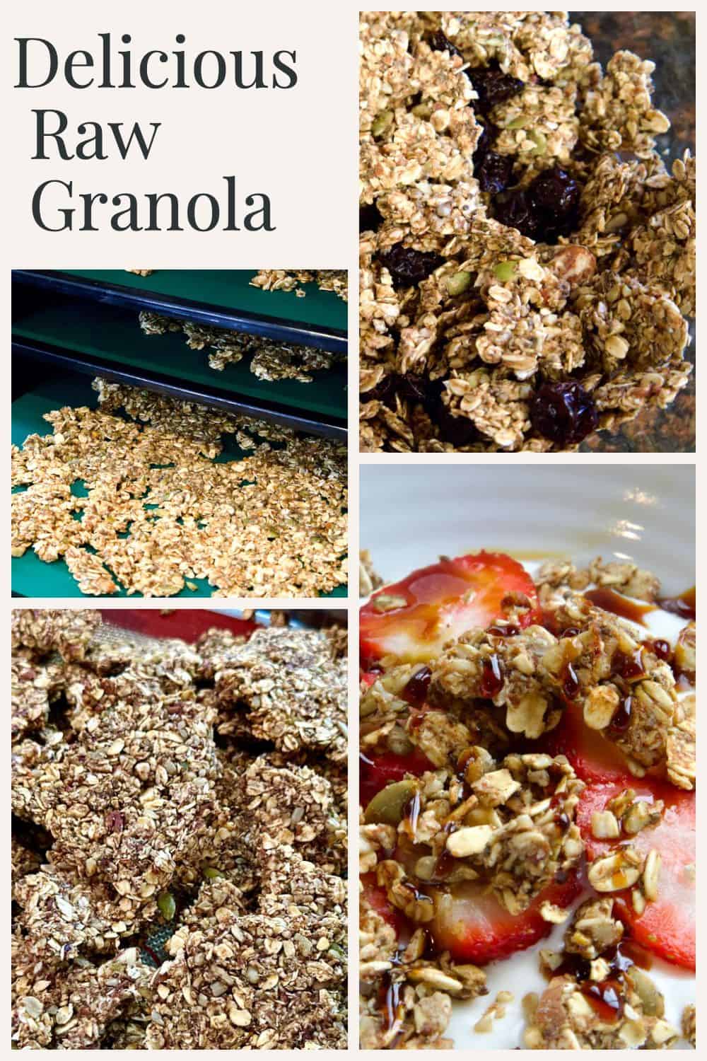 granola-strawberries-dried-fruit-dehydrator-trays