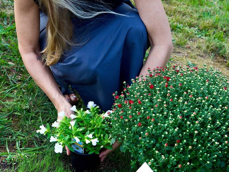 laying-down-flowers-at-gravesite-grief-price-of-love