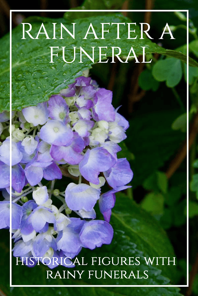 purple-flowers-historical-figures-with-rainy-funerals