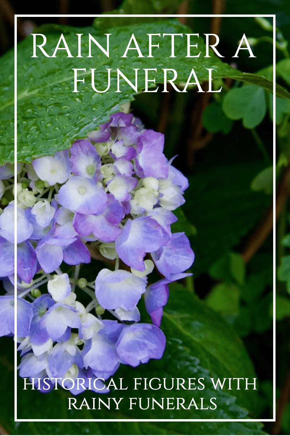 purple-flowers-historical-figures-with-rainy-funerals