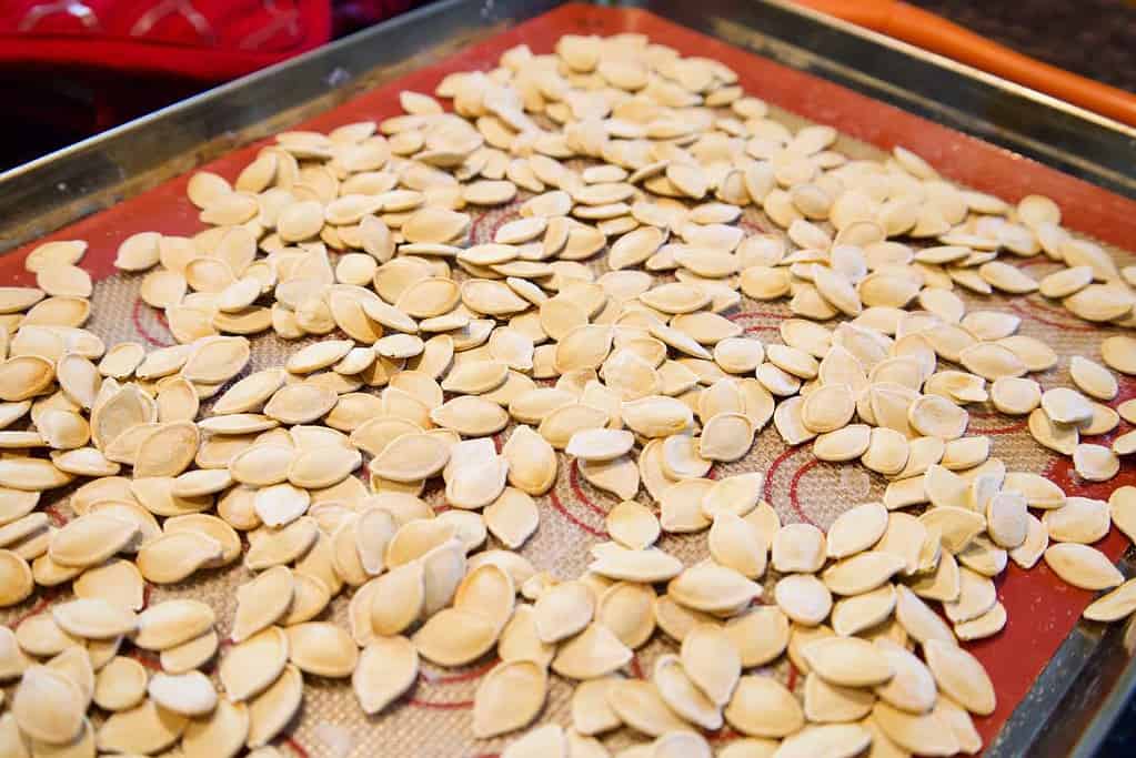 roasted-pumpkin-seeds-without-oil-baking-sheet