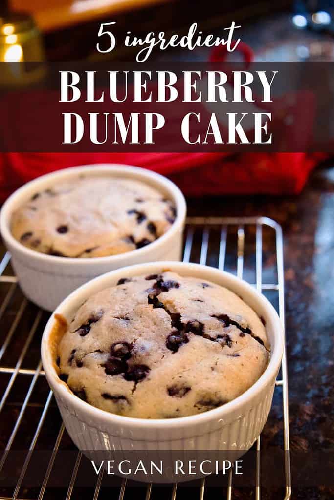 5-ingredient-blueberry-dump-cake-vegan-recipe