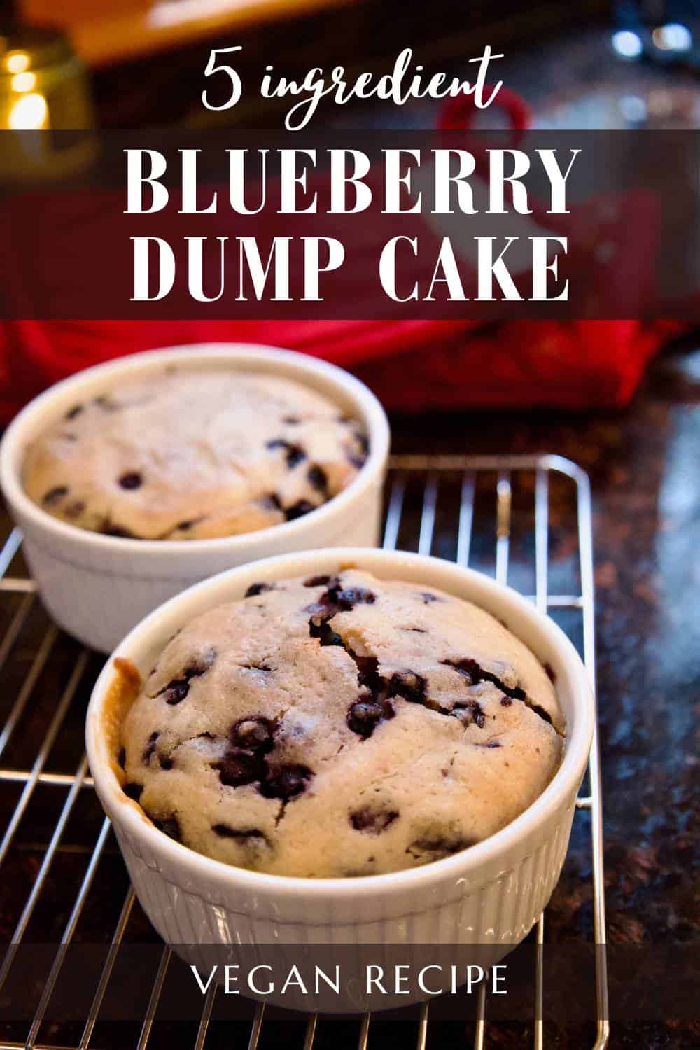 5-ingredient-blueberry-dump-cake-vegan-recipe