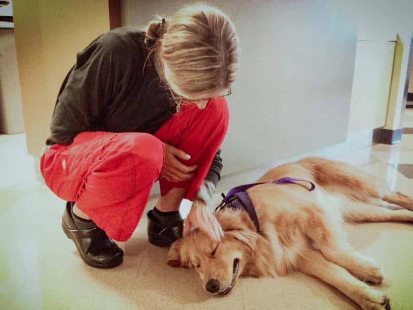nurse-dawn-petting-therapy-dog-hospital