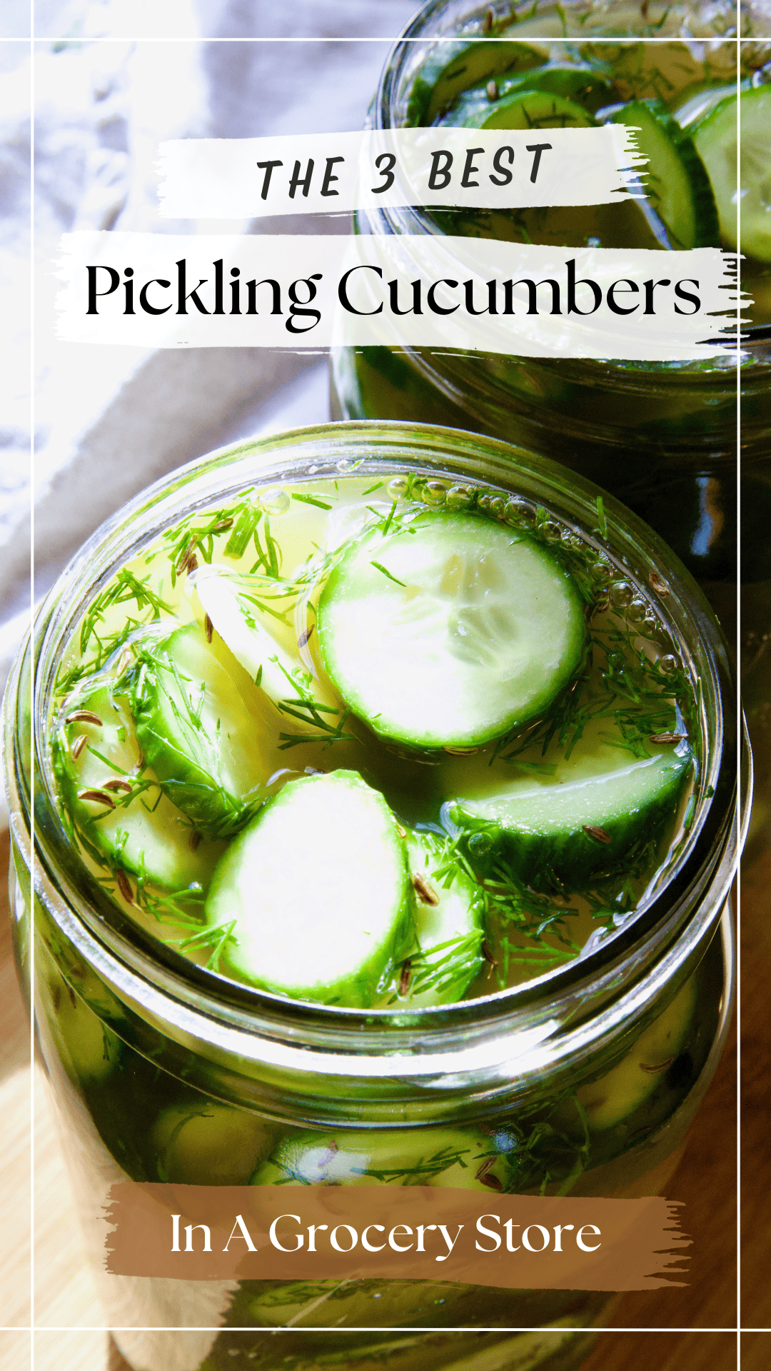 three-best-pickling-cucumbers-in-a-grocery-store