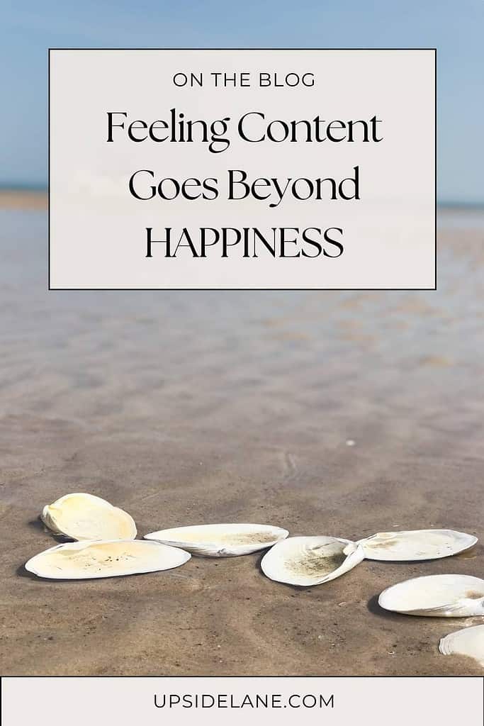 seashells-on-beach-near-waters-edge-feeling-content-goes-beyond-happiness