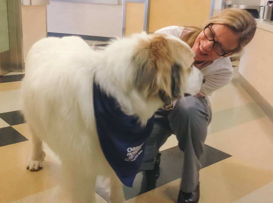 dawn-nurse-in-hospital-petting-therapy-dog