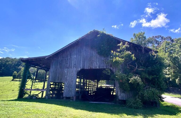 abandoned-old-barn