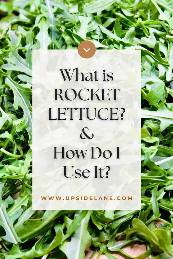 what-is-rocket-lettuce-and-how-do-I-use-it
