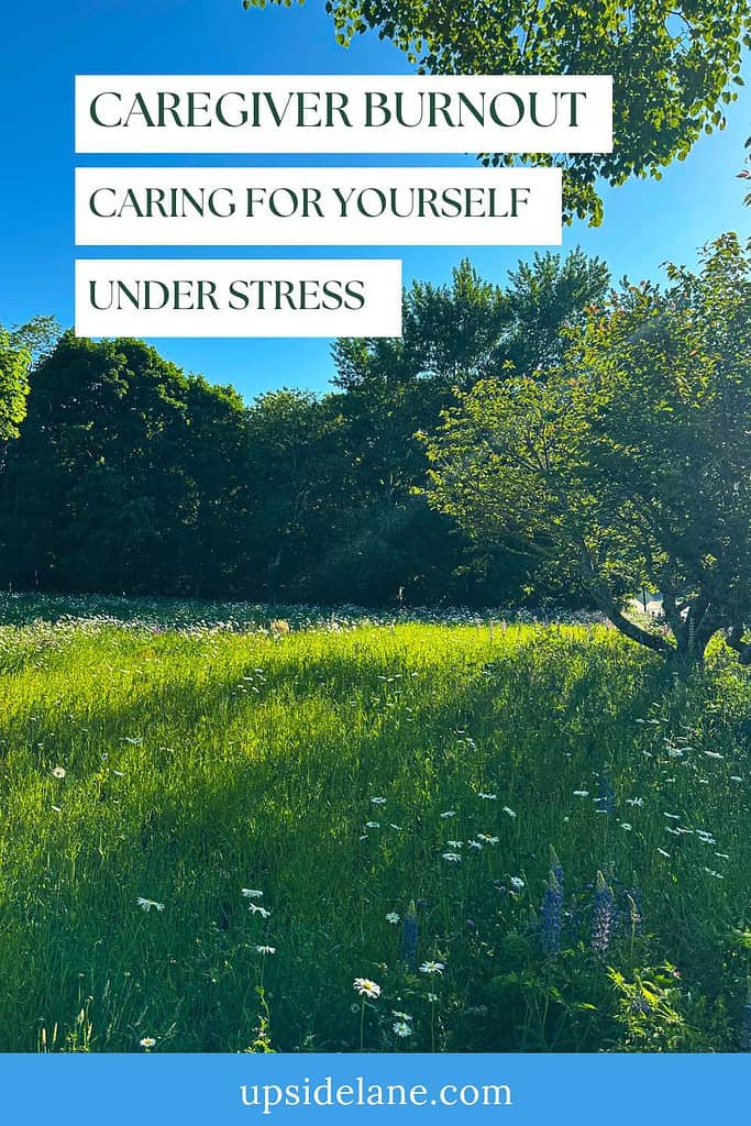 wild flower field caregiver burnout caring for yourself under stress