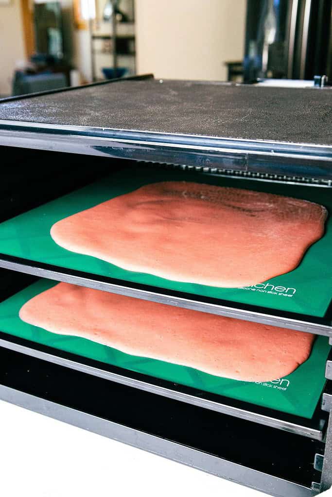 fruit leather mixture on trays in an open dehydrator