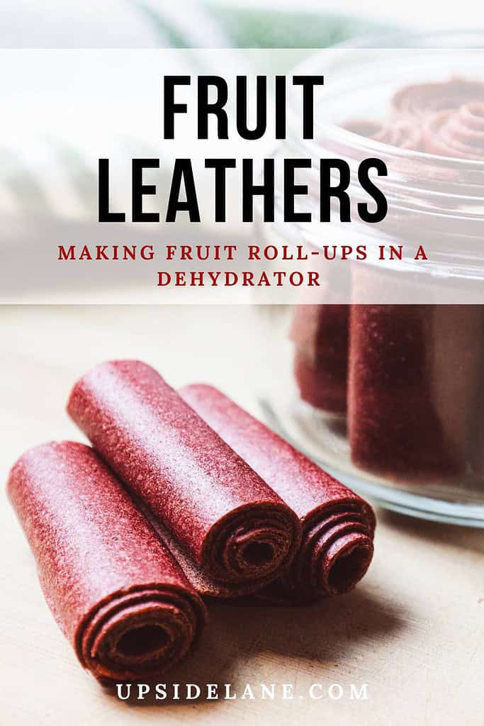 fruit leathers making fruit roll ups in a dehydrator