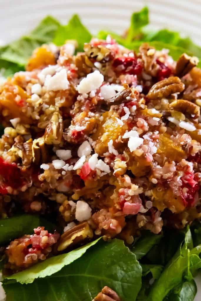 quinoa cranberry salad on a bed of greens