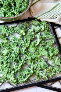 colander with kale and dehydrator trays lined with dinosaur kale pieces