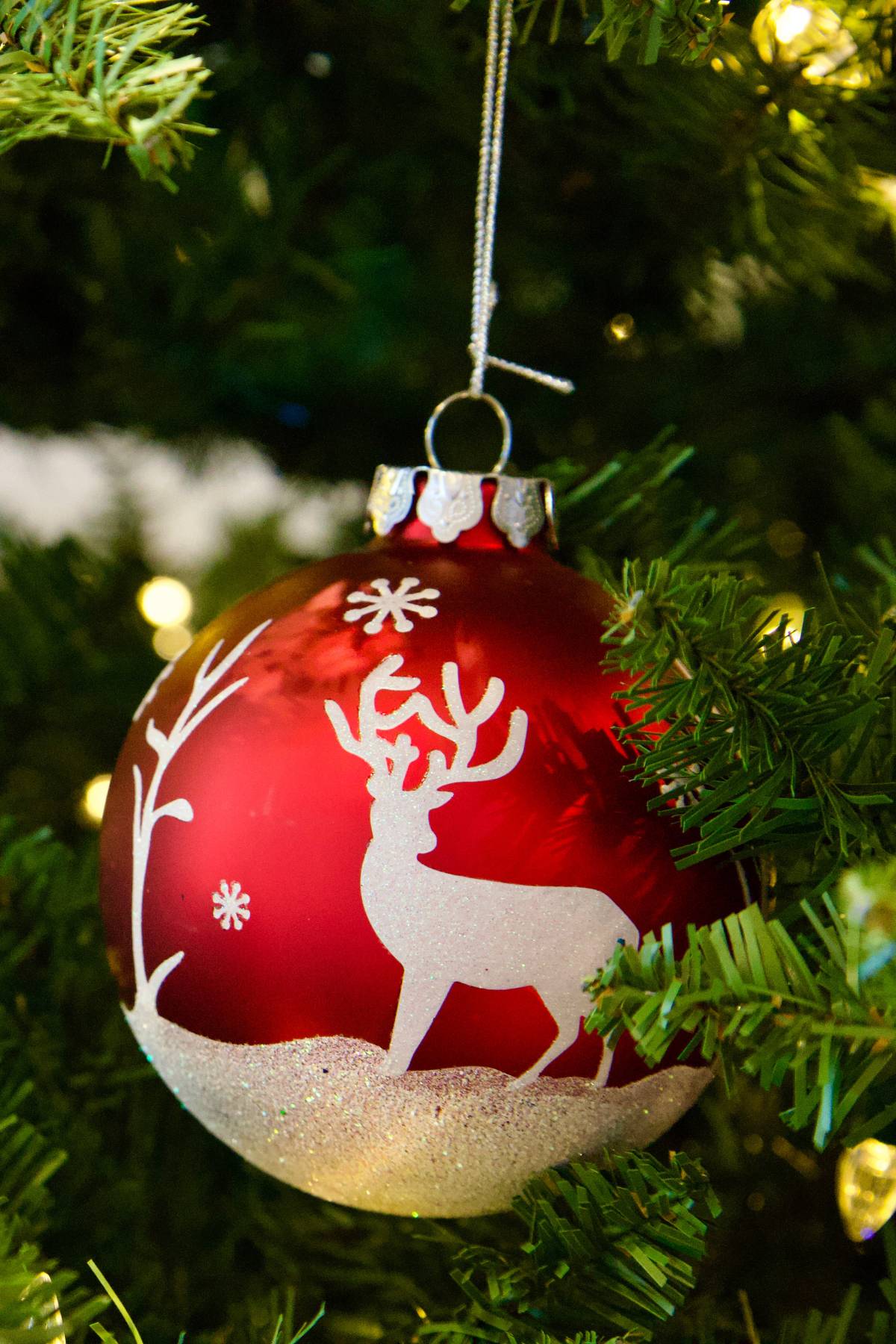 red ball christmas ornament hanging on a tree