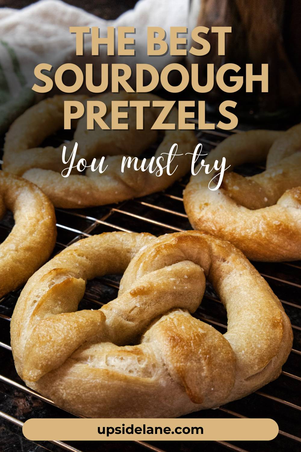 the-best-sourdough-pretzels-you-must-try-pinterest-pin