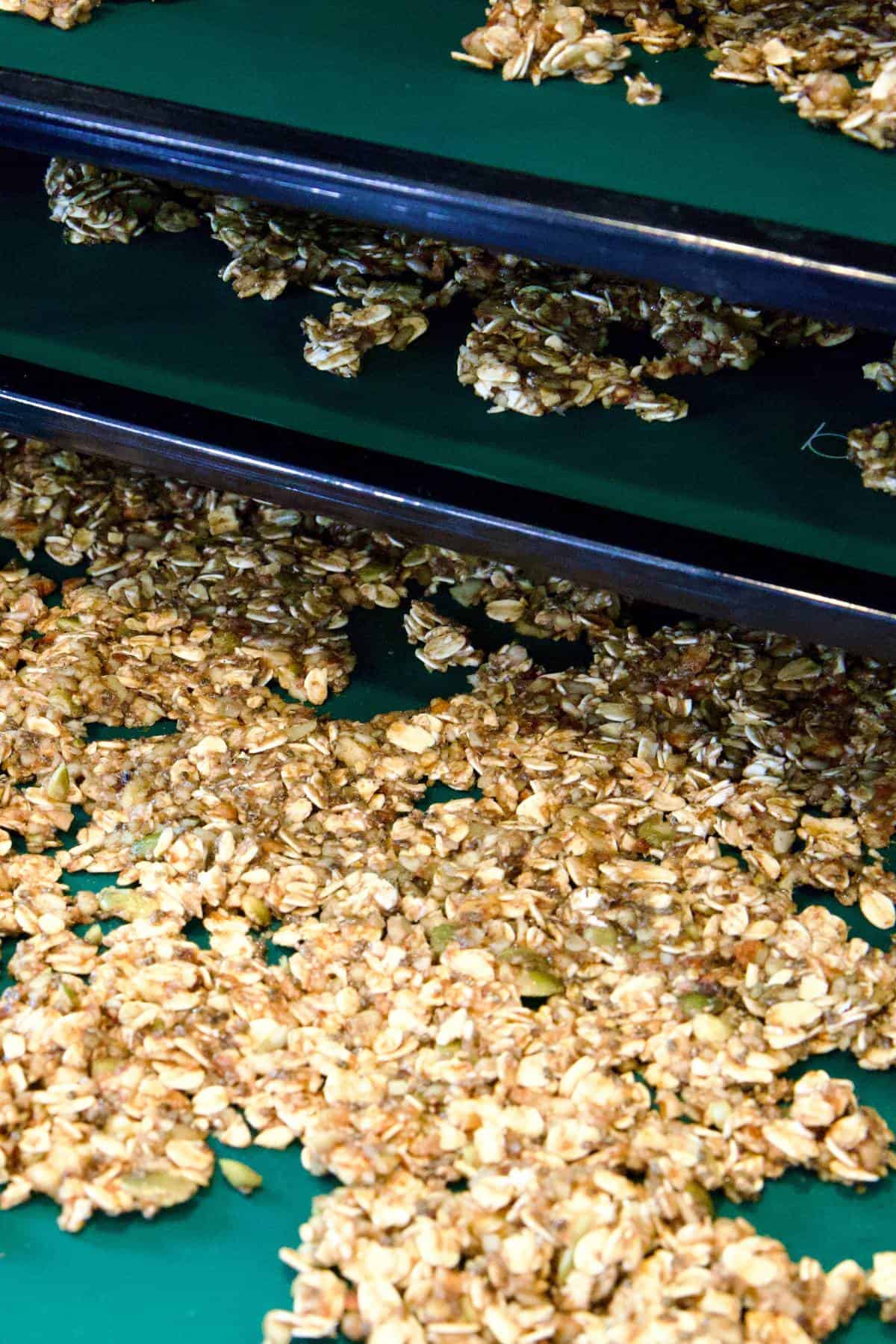 oil free granola on dehydrator trays